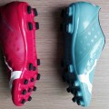 Puma Evopower