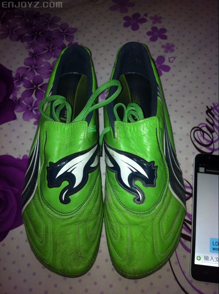 9新绿色皮版v1.11