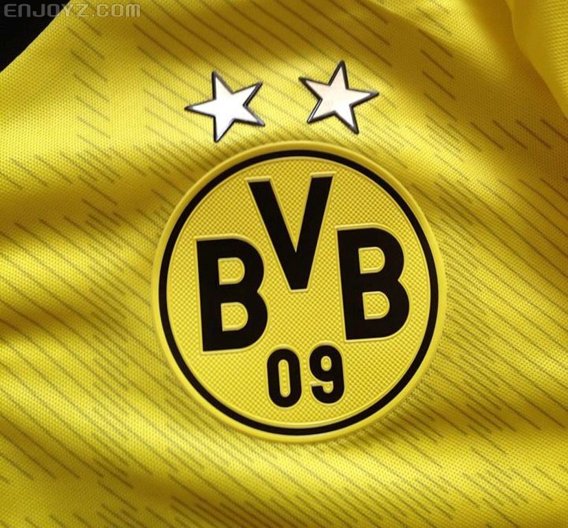 2013-2014 Borussia Dortmund Home Match Issued, No.15 HUMMELS_6.jpg