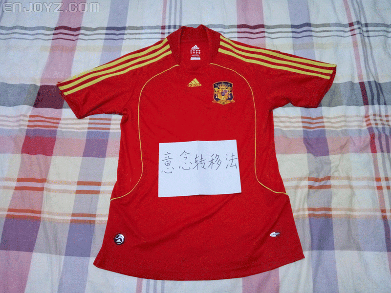 西班牙2008 01.gif