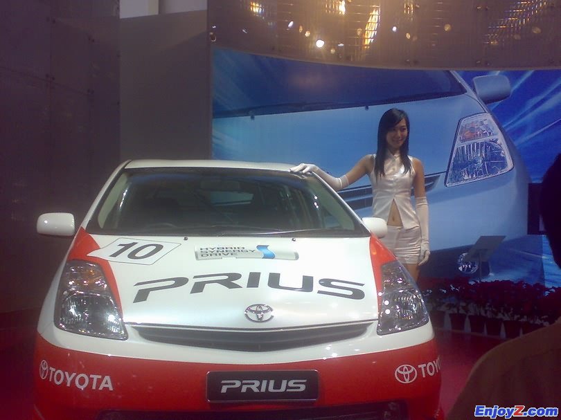 TOYOTA PRIUS (2)