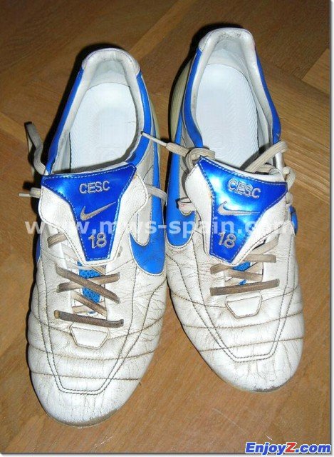 Cesc_Fabregas_2006_2007_Boots_Nike_BlueWhite_Worn_01.sized.jpg