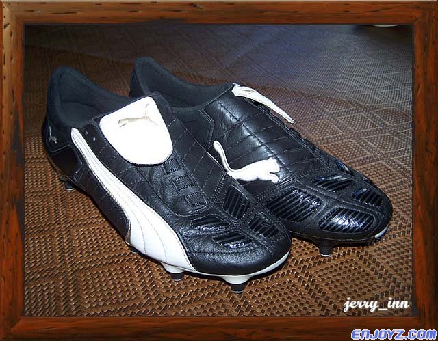 puma0505.jpg