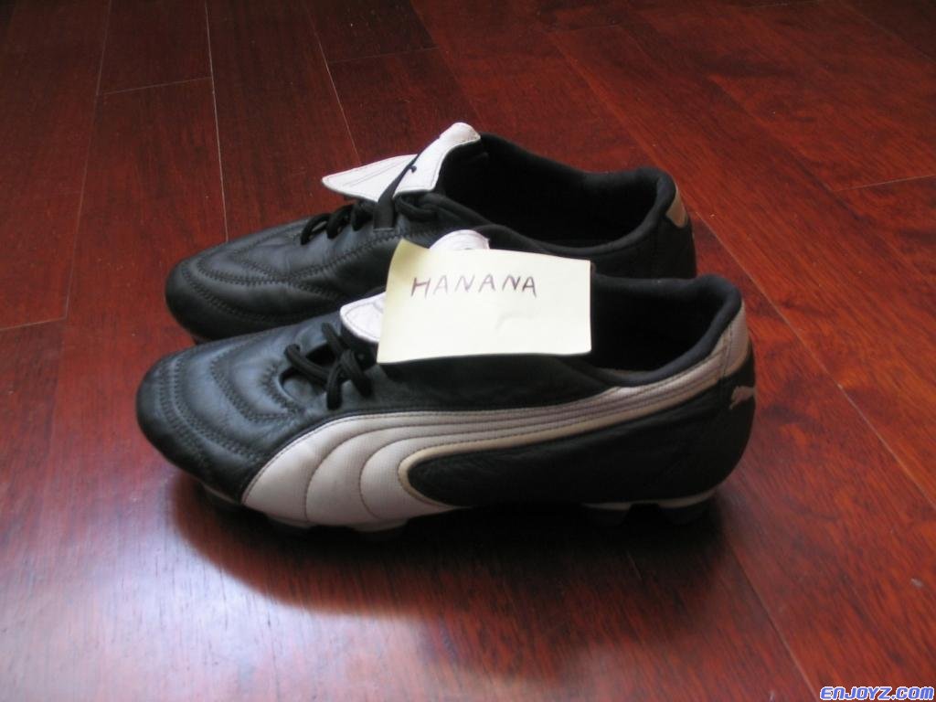 第三，Puma king