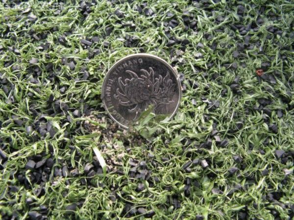 一元硬币直径是2.5厘米