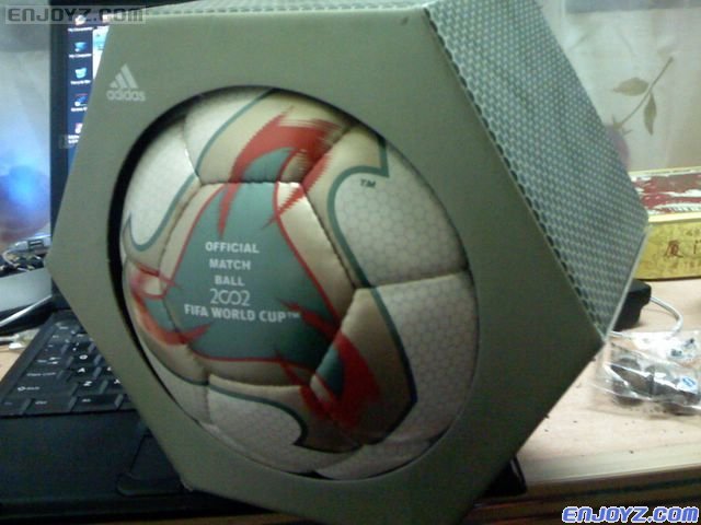 2002世界杯用球