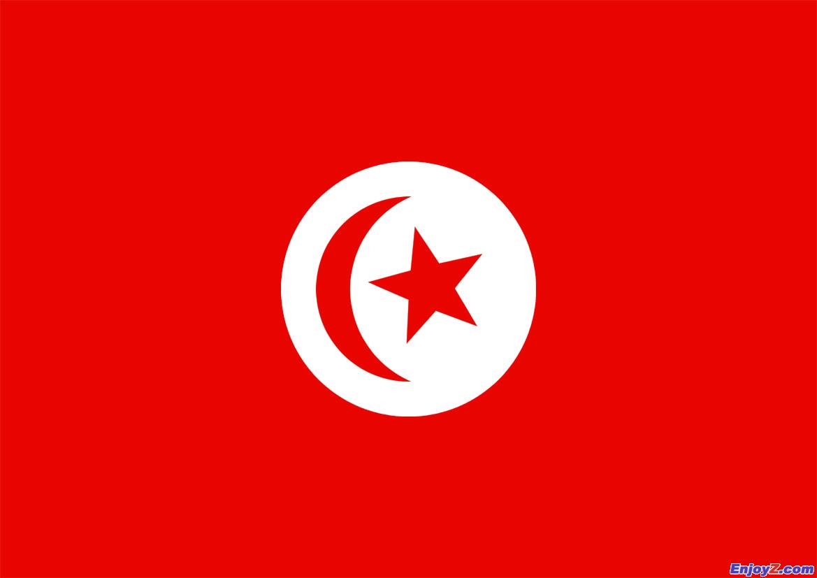 突尼斯-世界排名21